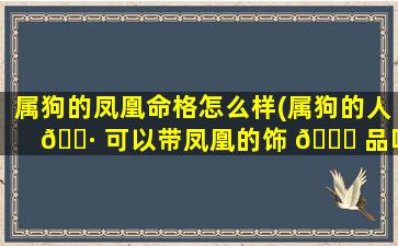 属狗的凤凰命格怎么样(属狗的人 🌷 可以带凤凰的饰 🍀 品吗)